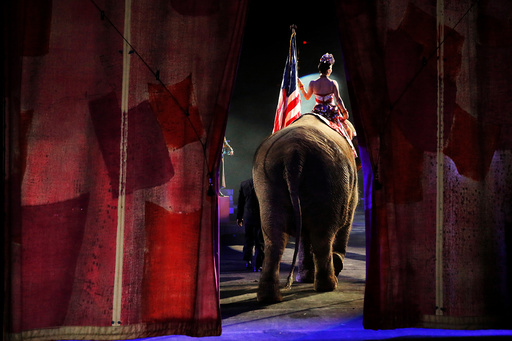One of Ringling Bros and Barnum & Bailey Circus' performing elephants enters the arena for it's final show in Wilkes-Barre, Pennsylvania, U.S.