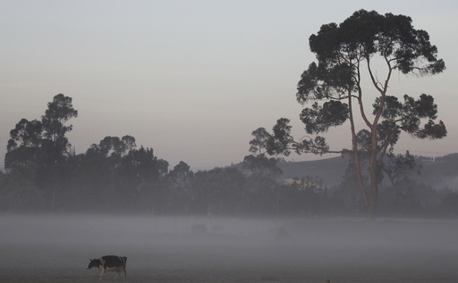 Bogota savanna, with an altitude of about 2,600 meters above sea level, is seen experiencing low temperatures in Madrid municipality near Bogota