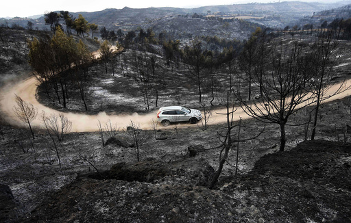 Car drives on a dirt road past trees that were scorched by a forest fire near Montserrat in Sant Salvador de Guardiola, in the northeastern region of Catalonia, Spain