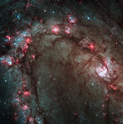 Starbirth in M83 galactic arm, HST image