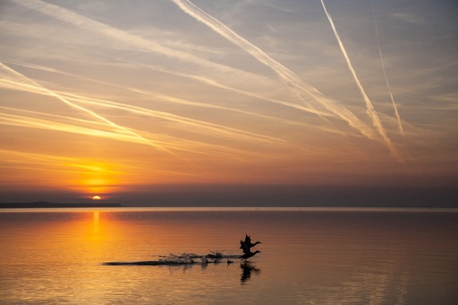 Sunrise at the Balaton Lake