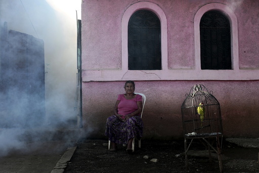 A woman sits outside her house while a health ministry worker fumigates to kill mosquitoes during a campaign against dengue and chikungunya in Managua