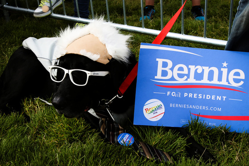 Frisco, a black labrador, shows off his support for Democratic U.S. presidential candidate Bernie Sanders at a campaign rally in San Francisco