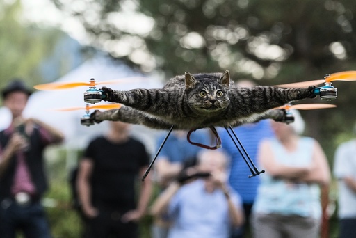 Taxidermy animals mounted on drones