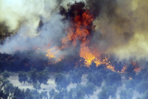 Wildfire burns at the village of Piedrabuena