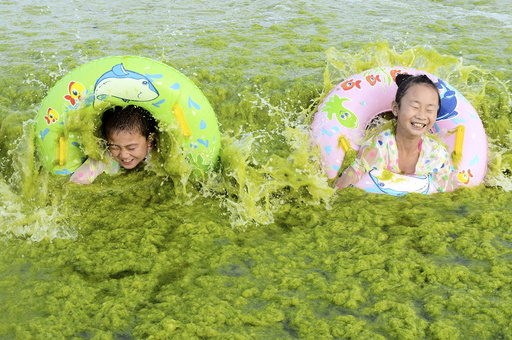 Children laugh as they swim with floats at the seashore covered by algae, in Qingdao