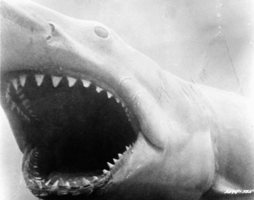 'Der weiße Hai' / Szene - 'Jaws' / Scene -