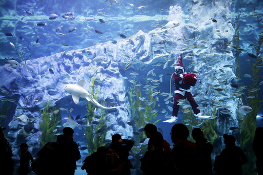 A diver dressed in a Santa Claus costume performs during an event celebrating the upcoming Christmas holiday at Lotte World Aquarium in Seoul