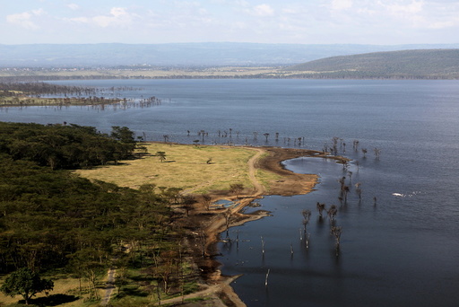 Wider Image: Earthprints: Lake Nakuru