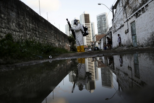 A municipal worker sprays insecticide at the neighborhood of Imbiribeira in Recife