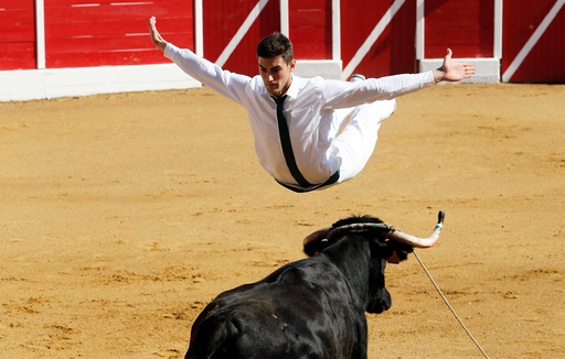 A competitor jumps over a cow during a Course landaise in the Landes region in Aignan