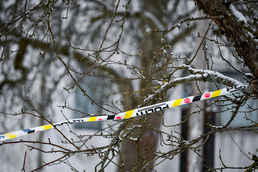 Den drapssiktede kvinnen har erkjent straffskyld for å ha drept sin egen mor og bror, som ble funnet døde i en bolig i Ski lørdag.