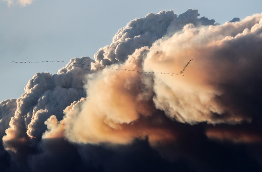 A flock of birds fly as smoke billows from the Fort McMurray wildfires in Kinosis