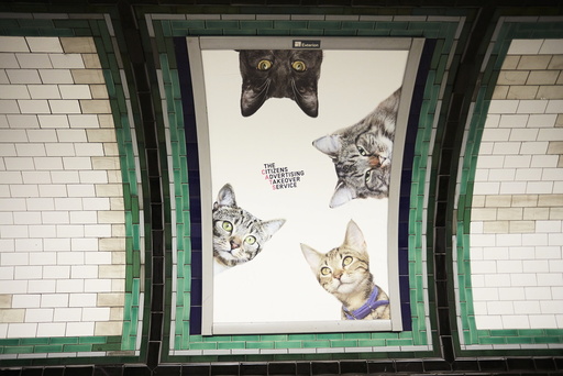 London Tube adverts replaced with cat pictures as âäÅcitizens takeoverâä purrs into life