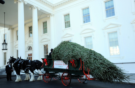 Christmas tree for the White House