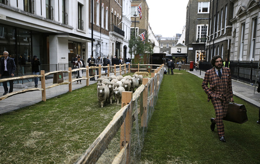 A man walks past a flock of Exmoor Horn sheep in Savile Row London