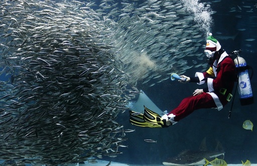 Santa Claus divers perform at Coex Aquarium in Seoul