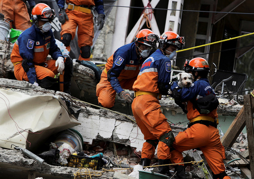 Members of a Japanese rescue team hold a dog found underneath the rubble of a collapsed multi family residential, after an earthquake, in Mexico City