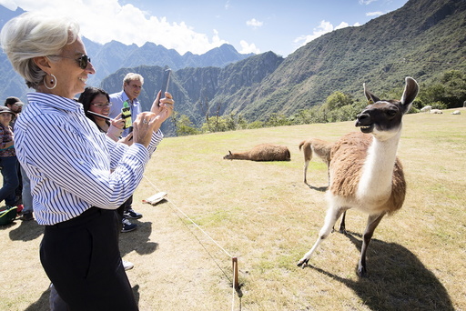 IMF handout photo shows IMF Managing Director Lagarde taking a photo of a llama during her tour of Machu Picchu