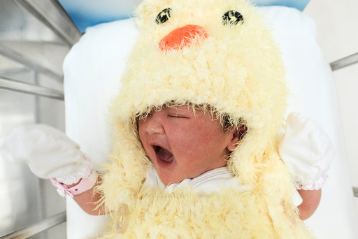 A newborn baby wearing a chicken costume to celebrate the Chinese New Year of the Rooster is pictured at the nursery room of Paolo Chockchai 4 Hospital, in Bangkok