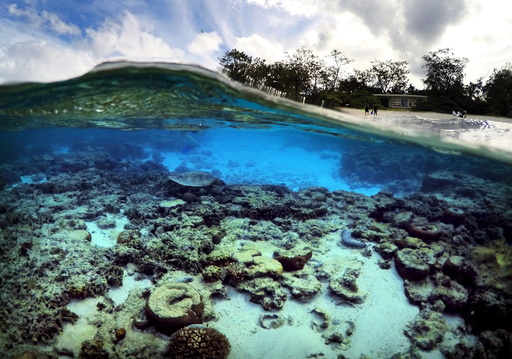 Wider Image - Great Barrier Reef At Risk