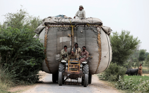 Farmers ride home on a tractor pulling an overloaded trailer full of straw in a village outside Faisalabad