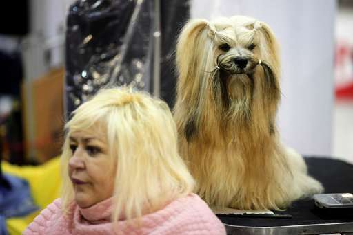 A woman sits next to a dog during the fifth edition of the 