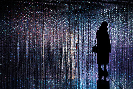 A visitor poses at a digital installation which is a part of 